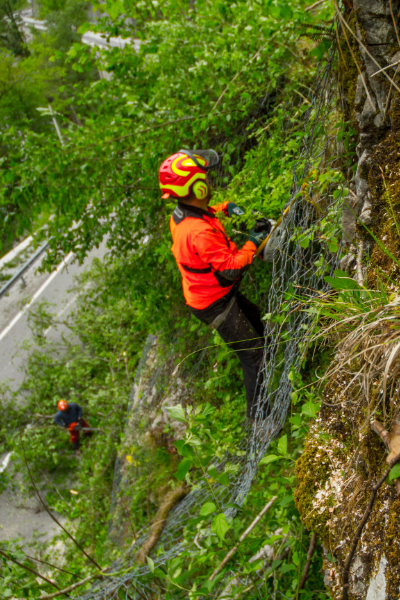 Zahtevni-posek-na-visini