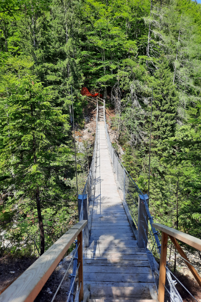 Viseča brv pri Kranjski gori